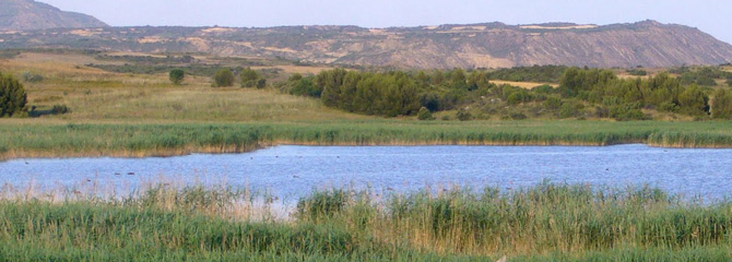 Urmaelak